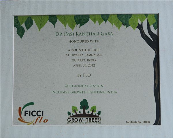Certificate-FICCI flo 2012